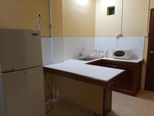 a small kitchen with a sink and a refrigerator at Latanier Beach Hotel in Grand-Baie