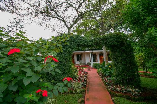 a house with a garden with red flowers at Hotel La Rosa de America in Alajuela City
