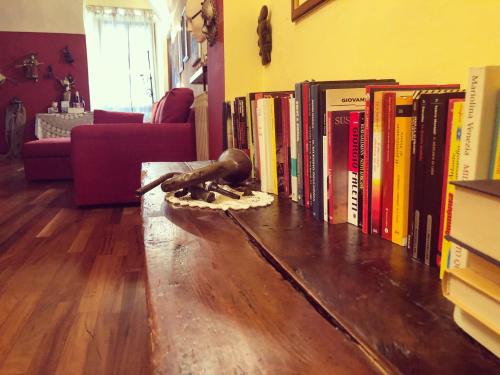 ein Zimmer mit einem Regal mit Büchern auf einem Holzboden in der Unterkunft Stecadó - PreaRunda in Dolceacqua