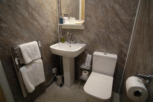 La salle de bains est pourvue de toilettes blanches et d'un lavabo. dans l'établissement Morlea Bed & Breakfast, à Drumnadrochit