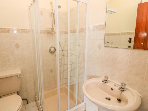 a bathroom with a shower and a toilet and a sink at Cleary Cottage in Miltown Malbay