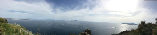 a view of a large body of water with boats at Hotel La Tripergola in Pozzuoli