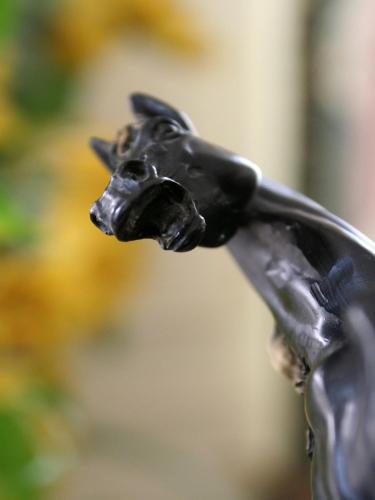 a black dog head sticking out of a rear view mirror at L'Hôtel Le Cheval Noir in Moret-sur-Loing