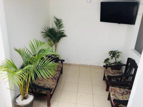 um quarto com cadeiras e vasos de plantas e uma televisão de ecrã plano em Starfish of Paracas em Paracas