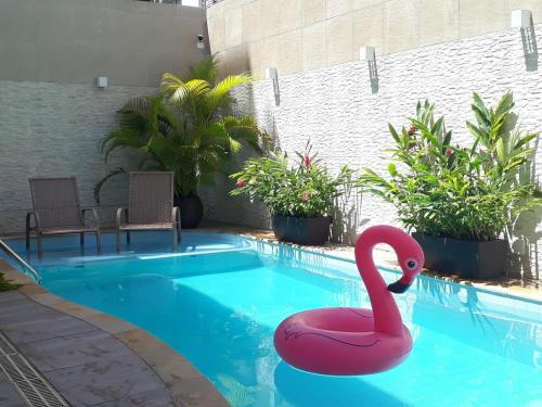 a pink swan in a swimming pool at Pousada Ilha das Conchas in Guarujá