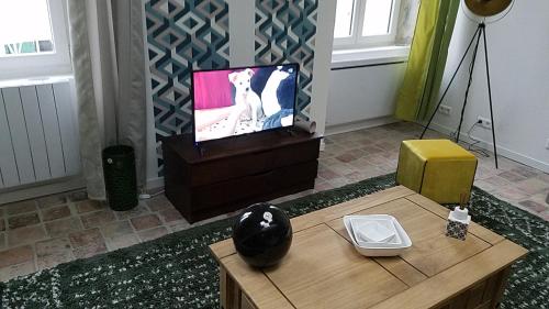 Gallery image of Tournus Castrum Romain- Loft 90m2 - 3 Étoiles - petit Box Vélo - 5mn Autoroute in Tournus