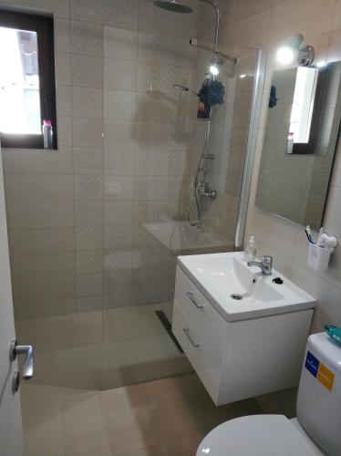 Un baño con ducha, lavabo e inodoro. en Edan Apartament, en Buşteni