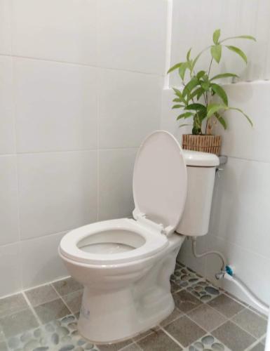 a white toilet in a bathroom with a potted plant at LR Hostel and Cafe in Moalboal