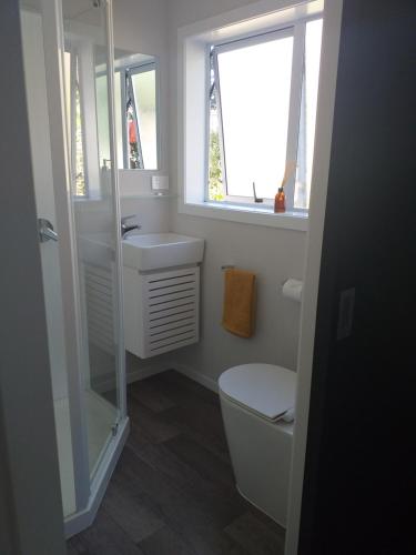 a bathroom with a toilet and a shower and a sink at Sleepout Hideaway in Rotorua