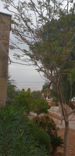 Landskap semula jadi dekat dengan rumah tamu ini