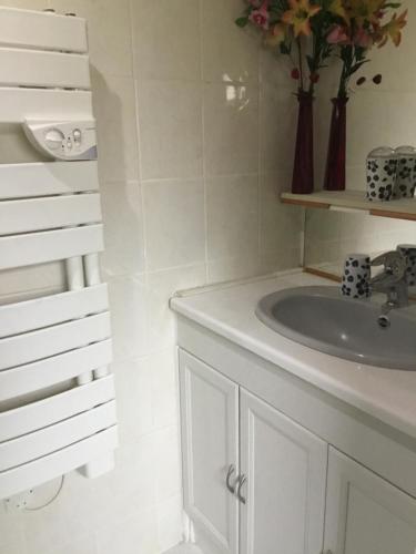 baño con lavabo y armario blanco en Gîte Dubois, en Romanswiller