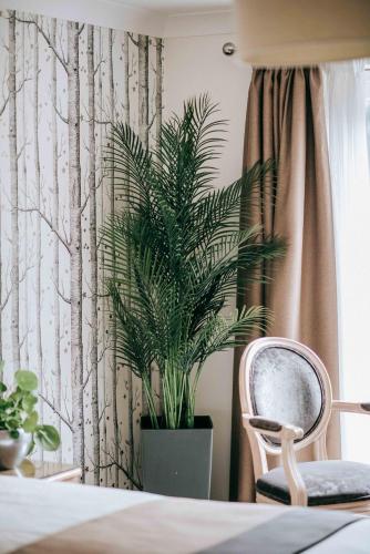 a potted plant sitting next to a chair in a room at Flackley Ash Country House Hotel in Rye