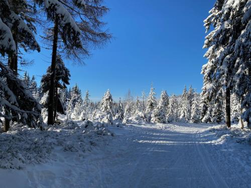 a snow covered road in a forest with snow covered trees at Apartmán v Srdci Hor Cihlářka in Pec pod Sněžkou