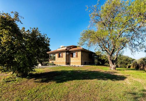 a house on a grassy field with a tree at Poggio della Stella in Blera