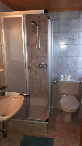 a bathroom with a shower and a toilet and a sink at Pension Kupfer in Wenns