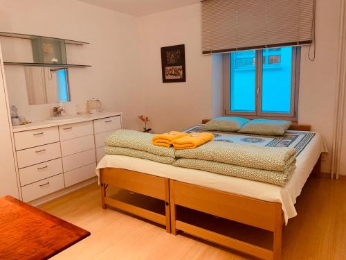 a bedroom with a large bed and a kitchen at Swiss Dewa in Lucerne