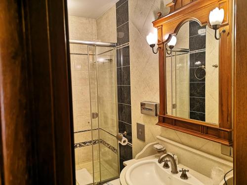 a bathroom with a shower and a toilet and a sink at Pałac Czarny Las (50 km od Katowic) in Woźniki