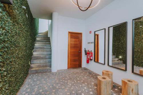 FLH Casa Branca Madeira
