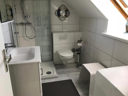 a small bathroom with a toilet and a sink at Gleich hinterm Deich 4 in Friedrichskoog