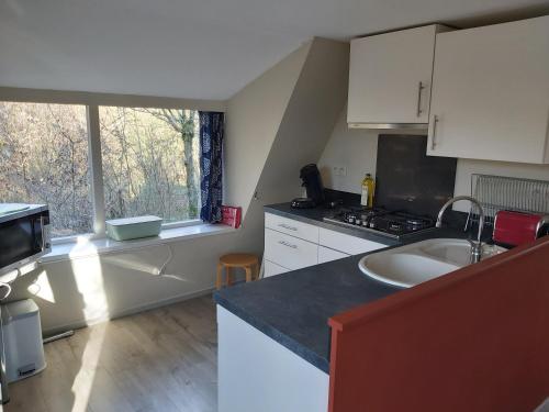 a kitchen with a sink and a counter top at Woodpecker - bungalow 29 in Durbuy
