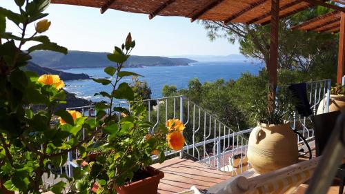 a view of the ocean from a deck with flowers at Hotel Villa Belfiori in Torre Dei Corsari
