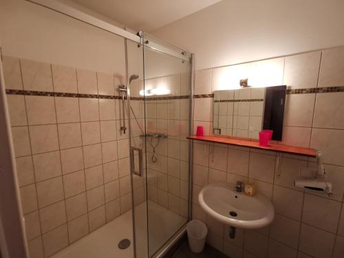 ein Bad mit einer Dusche, einem Waschbecken und einem Spiegel in der Unterkunft Hotel Khail in Maria Lanzendorf