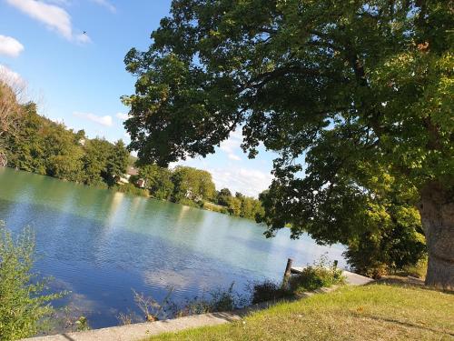 a lake with a tree and a bench next to it at HOTEL Chateau-Thierry Centre in Château-Thierry