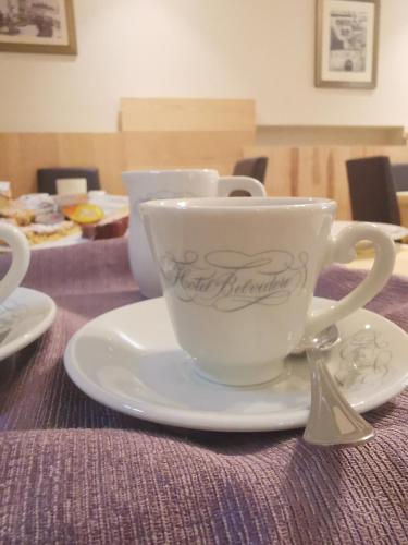 Příslušenství pro přípravu čaje a kávy v ubytování Hotel Belvedere