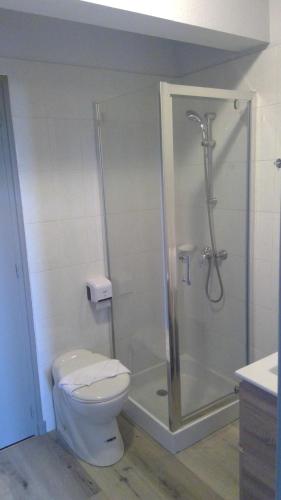 y baño con ducha, aseo y lavamanos. en Le Beauregard en Brive-la-Gaillarde