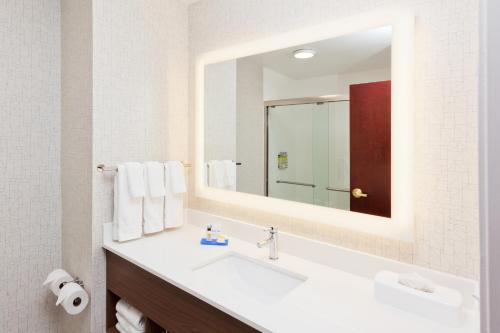 a bathroom with a sink and a large mirror at Holiday Inn Express Hotel & Suites Dothan North by IHG in Dothan