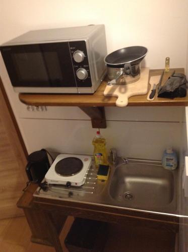 a microwave sitting on top of a counter next to a sink at Casa del Mar free Parking Only Adults for Young U45yrs in Międzyzdroje