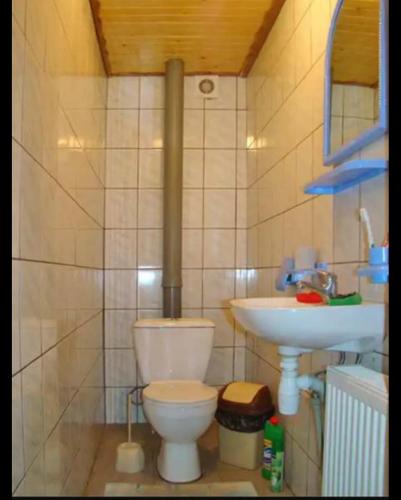 a bathroom with a toilet and a sink at "Різьб'ярська садиба" in Slavske
