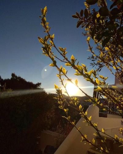 スーニオにあるSounio Golden View Villasのギャラリーの写真