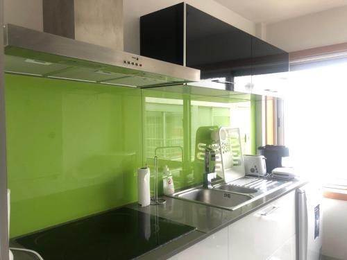 uma cozinha com um lavatório e uma parede verde em Zurstrassen Apartment em Coimbra