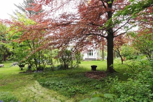 a tree in a yard with a house in the background at Charming flat in cosy farmhouse in Skudeneshavn