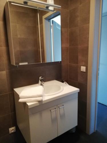 a bathroom with a white sink and a mirror at Happiness De Haan in De Haan