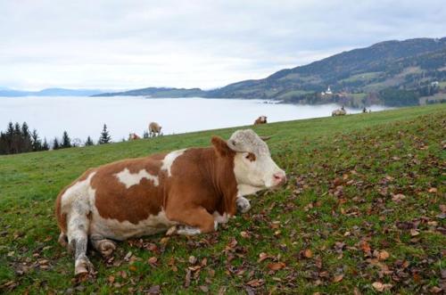 Naturlandschaft in der Nähe der Pension