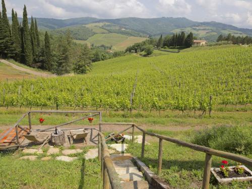 Blick auf einen Weinberg auf einem Feld in der Unterkunft Belvilla by OYO Villa Ulivo in Radda in Chianti