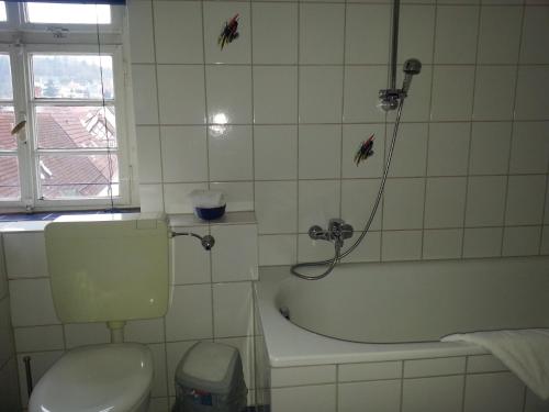 a bathroom with a toilet and a tub and a sink at Hotel Blaues Haus in Otterberg