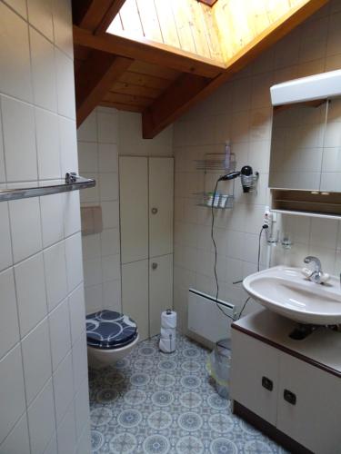 La salle de bains est pourvue d'un lavabo et de toilettes. dans l'établissement la grange à Caroline, à Ayent