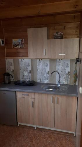 a kitchen with a sink and wooden cabinets at Tajek in Stegna