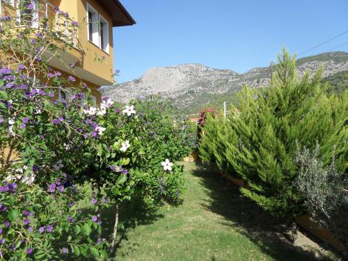 Nespecifikovaný výhled na hory nebo výhled na hory při pohledu z bed and breakfast
