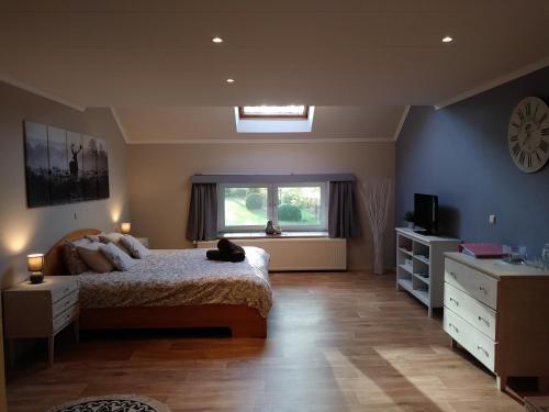 a bedroom with a bed and a television and a window at Petites-Tailles - chambre d'hôtes in Vielsalm