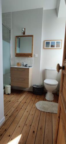 une salle de bain avec toilettes et miroir dans l'établissement Studio "Brume d'opale" au 2ème étage, à 200M de la plage, à Cayeux-sur-Mer