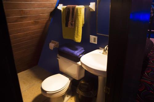 a bathroom with a toilet and a sink at Hicksville Pines Chalets & Motel in Idyllwild