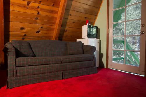 a living room with a couch and a tv at Hicksville Pines Chalets & Motel in Idyllwild