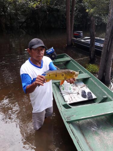 a man holding a fish in a boat at Ponta Poranga Jungle Lodge in Manaus