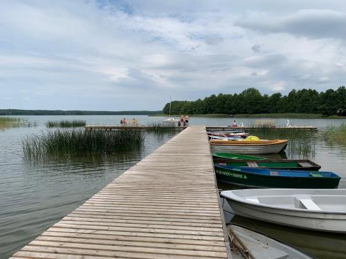 Gallery image of Domek Mazurek in Kobyłocha