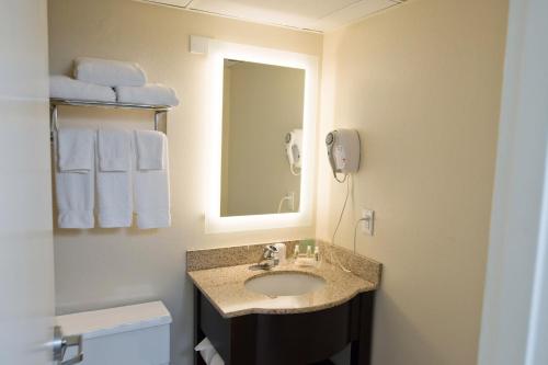 a bathroom with a sink and a mirror at Holiday Inn Birmingham-Airport, an IHG Hotel in Birmingham