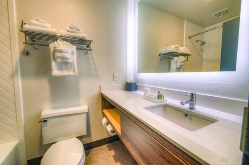 a bathroom with a sink and a mirror and a toilet at Holiday Inn Tacoma Mall, an IHG Hotel in Tacoma